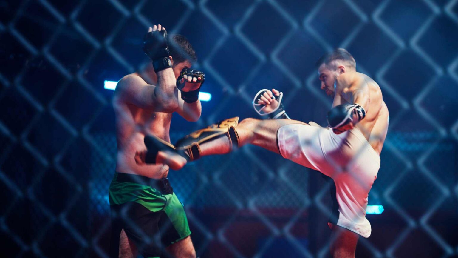 500+ Best MMA Training Slogans Idea [2024]